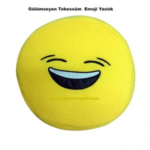 97072474825704454107